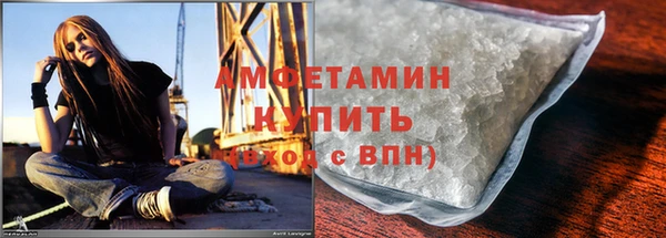 прущие грибы Абинск