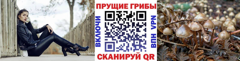 ОМГ ОМГ ССЫЛКА  Тейково  Псилоцибиновые грибы MAGIC MUSHROOMS  купить  сайты 